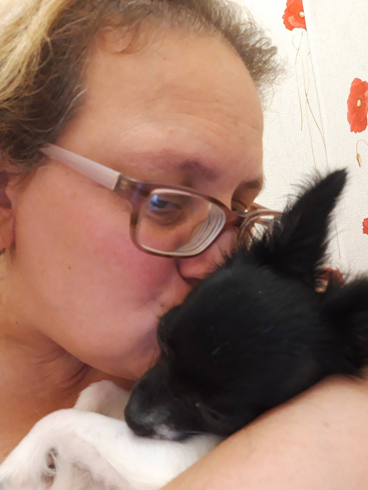 Laika a rejoint le concours — aidez-le/la à gagner de superbes lots ! dog, dog_breed, dog_breed_group, dog_like_mammal, ear, eyewear, fur, girl, glasses, nose, person, puppy, skin, snout, vision_care