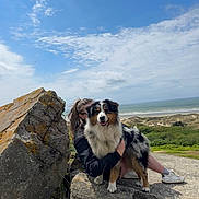 Vaïko participe au concours pour gagner de l'argent avec cette photo : dog, australian_shepherd, pet, animal, portrait, outdoor, coast, beach, ocean, seaside, cliffs, rocks, landscape, sky, clouds, nature, travel, adventure, person, smiling