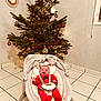 baby, infant, christmas_tree, holiday_decorations, red_clothing, baby_rocker, smile, indoors, tile_floor, festive, ornaments, greenery, toy, seat, child, happy, home_interior, holiday, cute, celebration
