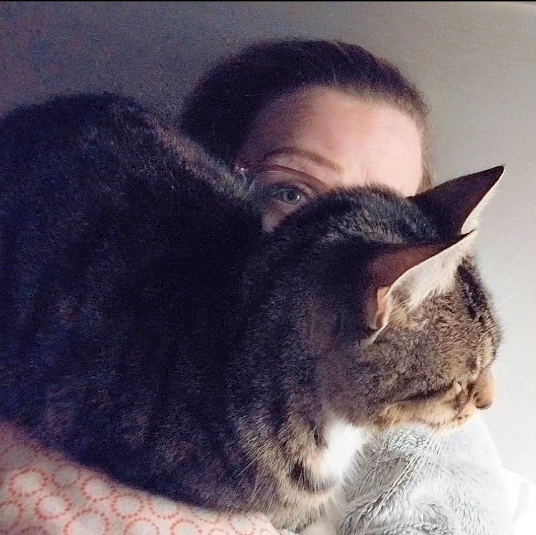 Suki a rejoint le concours — aidez-le/la à gagner de superbes lots ! carnivore, cat, comfort, domestic_short_haired_cat, ear, felidae, fur, happy, nap, sleep, small_to_medium_sized_cats, snout, tail, whiskers