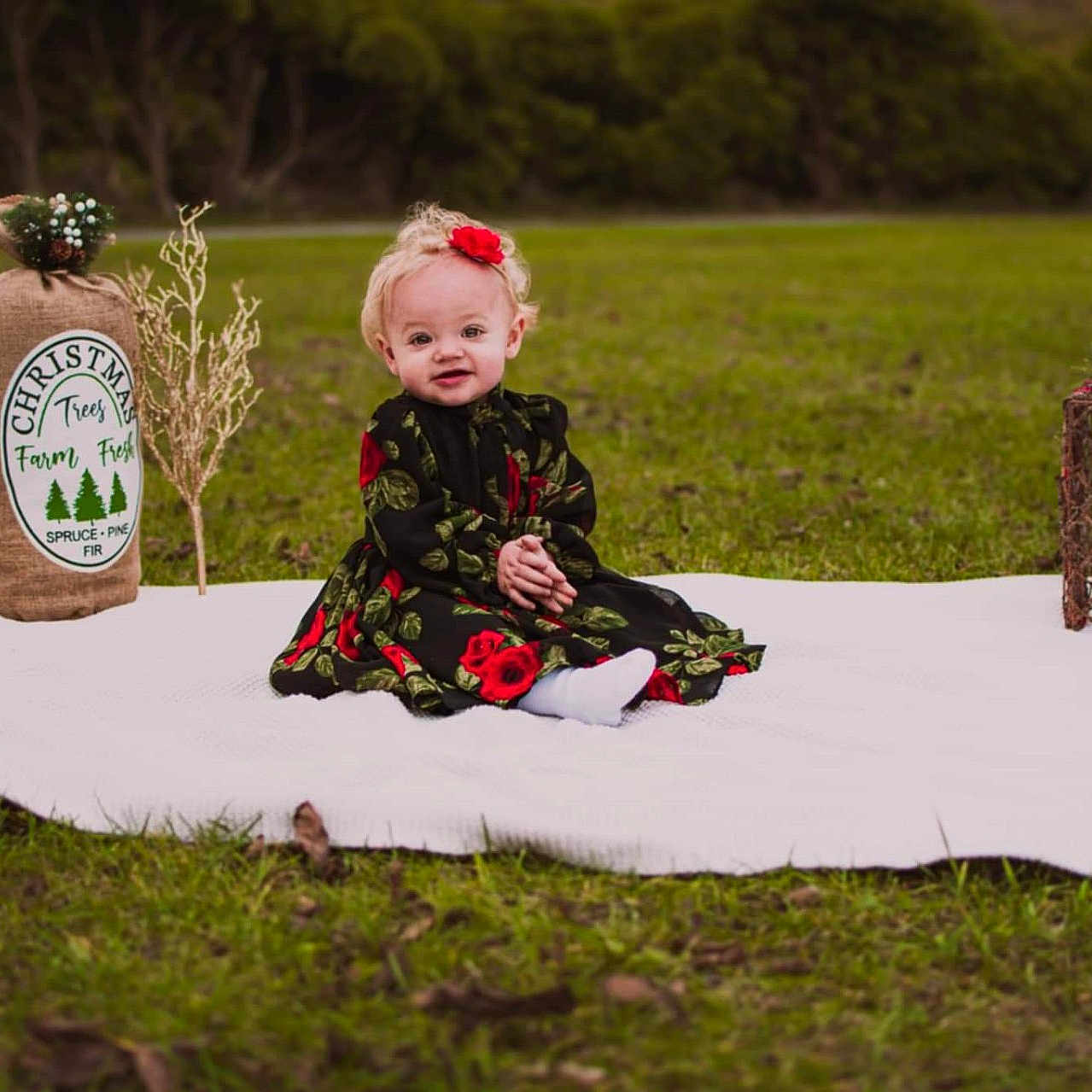 Paizley joined the competition — help win amazing prizes! clothing, dress, face, grass, head, herbal, herbs, jar, nature, outdoors, park, person, photography, plant, planter, portrait, pottedplant, pottery, sitting, vase