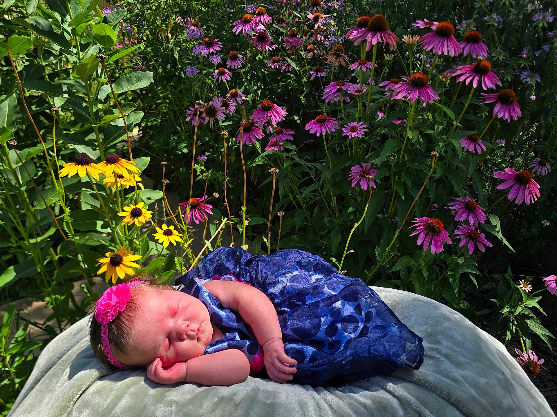 Harper joined the competition — help win amazing prizes! baby, newborn, sleeping, flower, headband, dress, blue_dress, blanket, outdoor, nature, garden, flowers, yellow_flowers, purple_flowers, sunlight, peaceful, cute, infant, resting, portrait