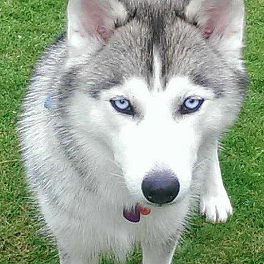 Kaia is registered to the contest to win money with this photo: