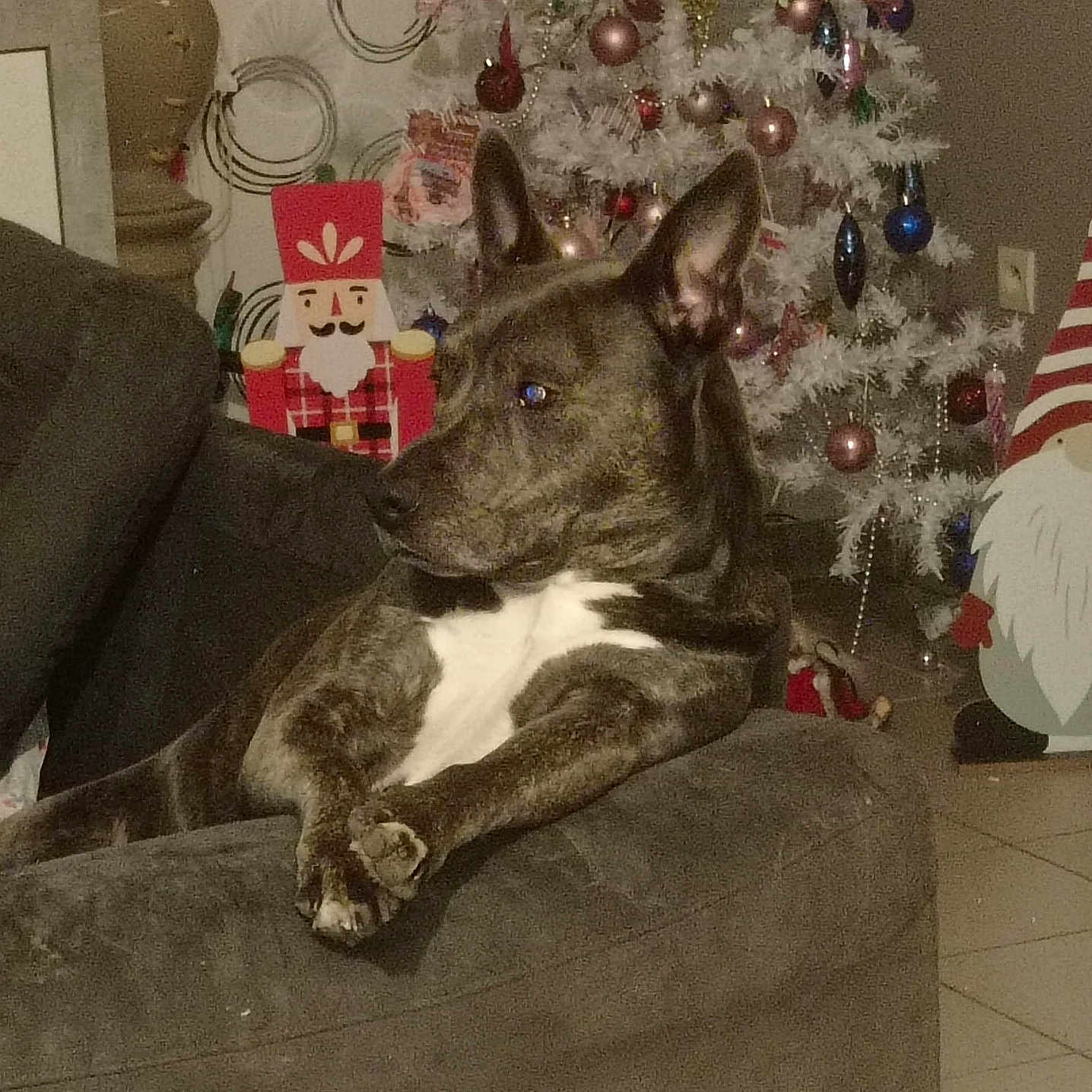 Pako