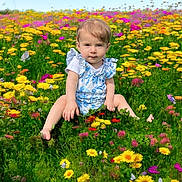Arya a rejoint le concours — aidez-le/la à gagner de superbes lots ! toddler, child, flower_field, wildflowers, greenery, outdoor, nature, sunlight, blue_sky, grass, yellow_flowers, purple_flowers, pink_flowers, summer, cute, young_child, sitting, portrait, daytime, innocence