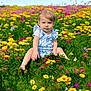 toddler, child, flower_field, wildflowers, greenery, outdoor, nature, sunlight, blue_sky, grass, yellow_flowers, purple_flowers, pink_flowers, summer, cute, young_child, sitting, portrait, daytime, innocence