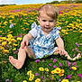 Arya participe au concours pour gagner de l'argent avec cette photo : baby, child, flower, meadow, grass, butterfly, outdoor, nature, green, yellow, purple, blue, sky, summer, cute, sitting, portrait, sunny, field, infant