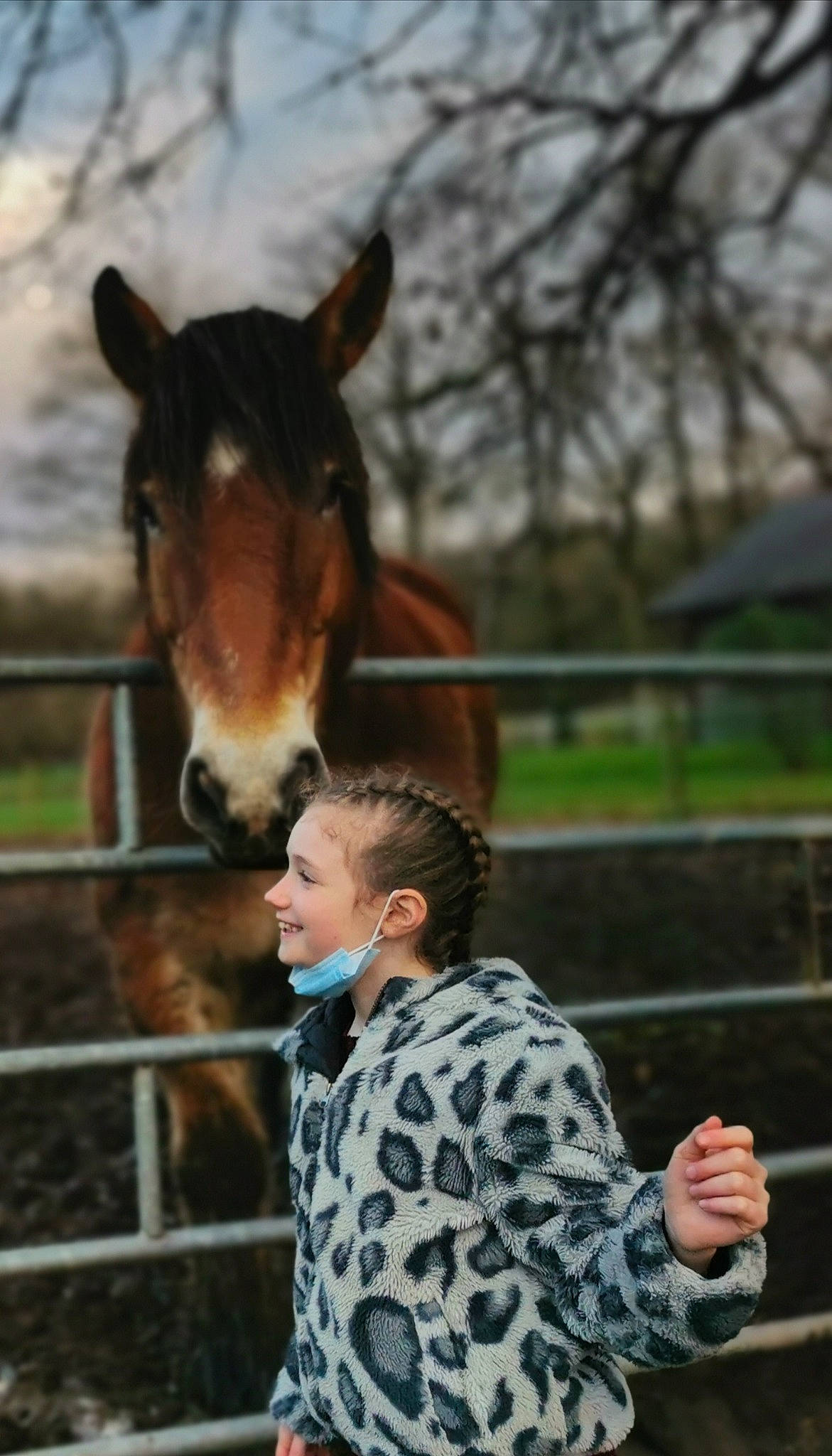 Léna participe au concours pour gagner de l'argent avec cette photo : bridle, fence, halter, horse, horse_supplies, horse_tack, joy, landscape, liver, livestock, mammal, mane, pack_animal, person, plant, recreation, rein, snout, sorrel, tree
