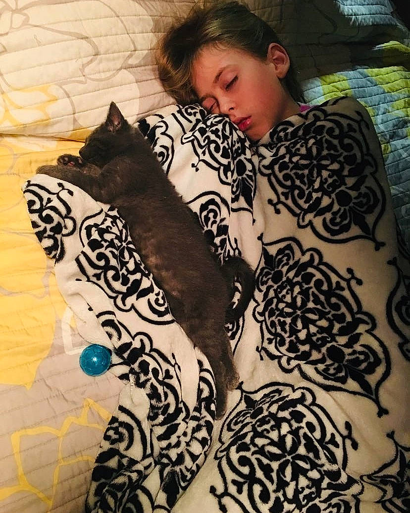 Eeyore joined the competition — help win amazing prizes! back, cat, design, felidae, fur, henna, mehndi, pattern, person, whiskers