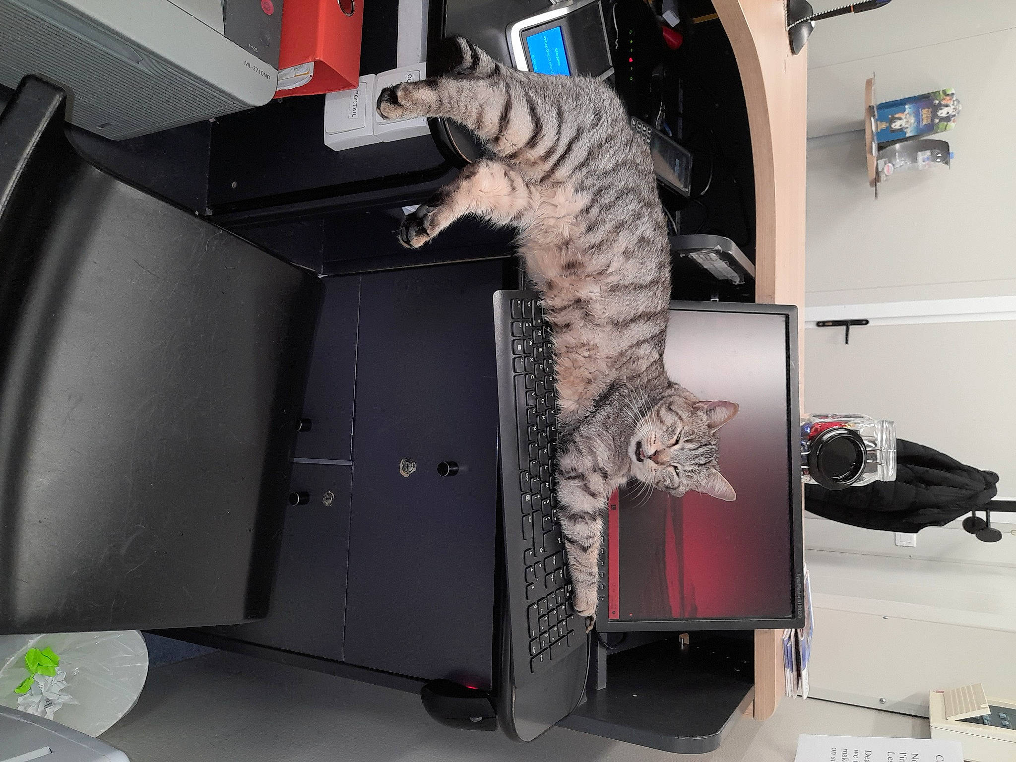 Tigrou a rejoint le concours — aidez-le/la à gagner de superbes lots ! auto_part, automotive_design, automotive_exterior, automotive_tire, carnivore, cat, comfort, domestic_short_haired_cat, felidae, fur, home_appliance, machine, office_supplies, room, shelf, small_to_medium_sized_cats, tail, vehicle, whiskers