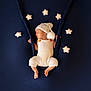 Elie participe au concours pour gagner de l'argent avec cette photo : newborn, baby, sleeping, knit_outfit, hat, plush_stars, dark_blue_background, rope_swing, cozy, peaceful, infant, portrait, studio_photo, soft_lighting, cute, child, resting, baby_clothing, nursery, sleep