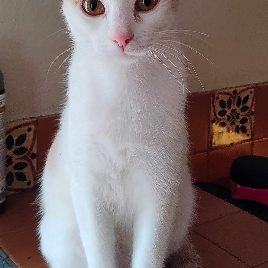 Lucy
