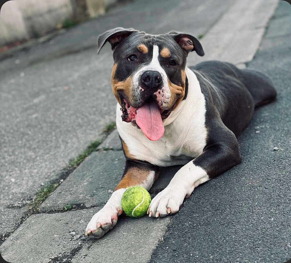 Ruben