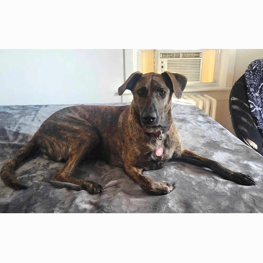 Coco