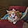 Mishu