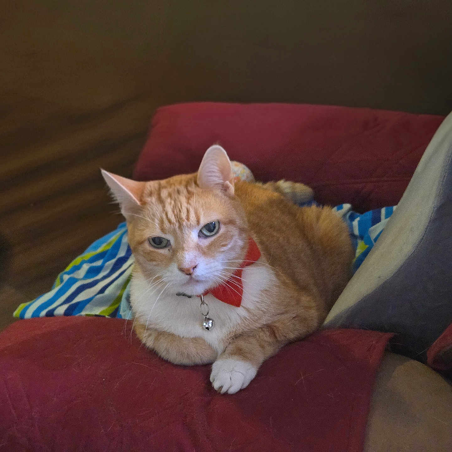 Mishu