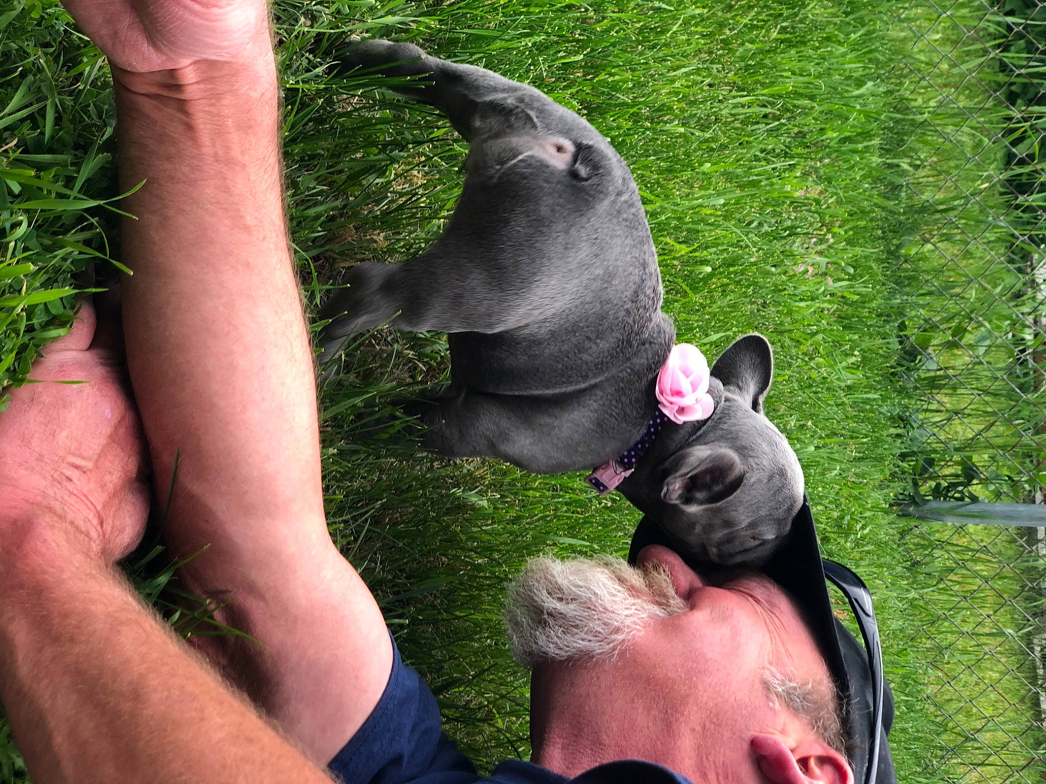 Myrtle is registered to the contest to win money with this photo: ear, fawn, gesture, grass, hand, snout