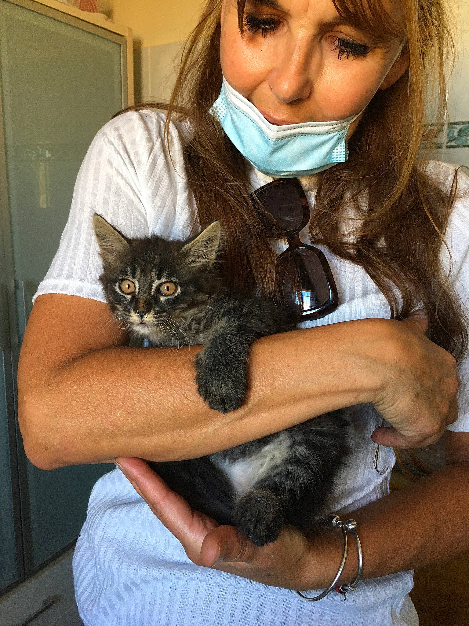 Smoothie participe au concours pour gagner de l'argent avec cette photo : arm, black_hair, carnivore, cat, comfort, door, eyelash, eyewear, fawn, felidae, fur, hand, lap, long_hair, organ, sitting, small_to_medium_sized_cats, smile, sunglasses, whiskers