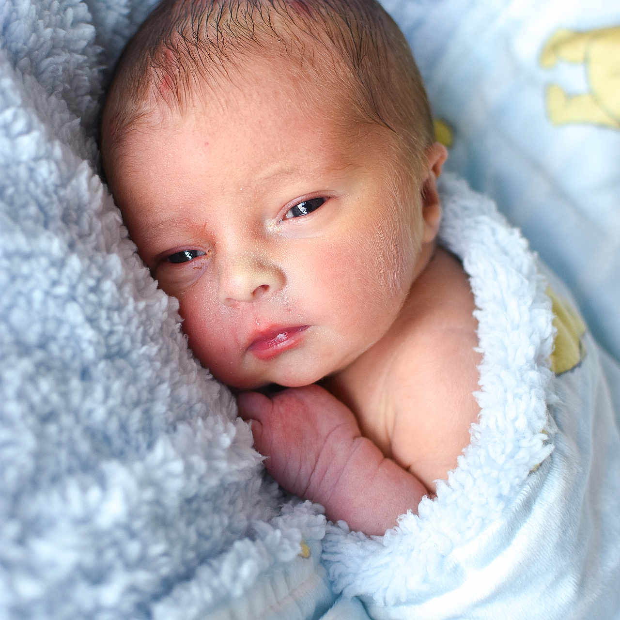 Dylan Ray joined the competition — help win amazing prizes! baby, blanket, blue, child, closeup, cozy, cute, face, infant, lying_down, newborn, peaceful, portrait, resting, skin, sleepy, soft_texture, teddy_bear, warm, wrapped