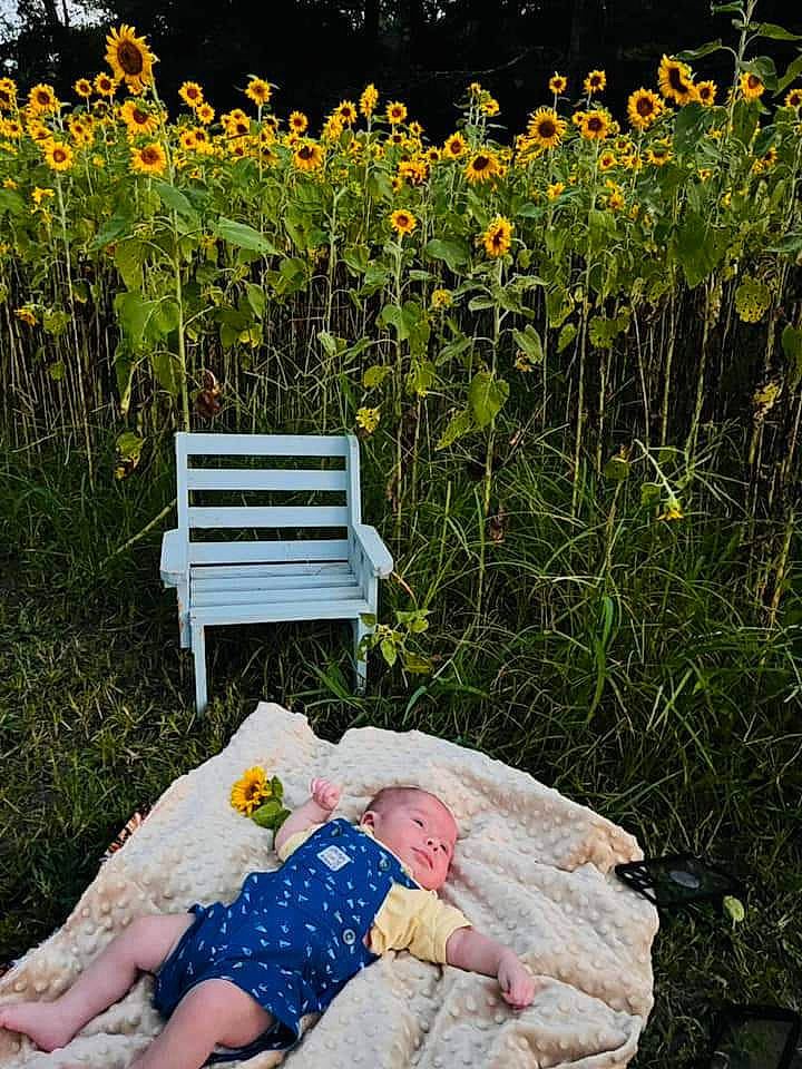 Kayson is registered to the contest to win money with this photo: botany, comfort, flower, grass, grass_family, green, groundcover, happy, landscape, leaf, leisure, meadow, natural_landscape, outdoor_bench, outdoor_furniture, people_in_nature, person, plant, shrub, summer