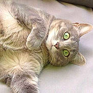 Kimy participe au concours pour gagner de l'argent avec cette photo :