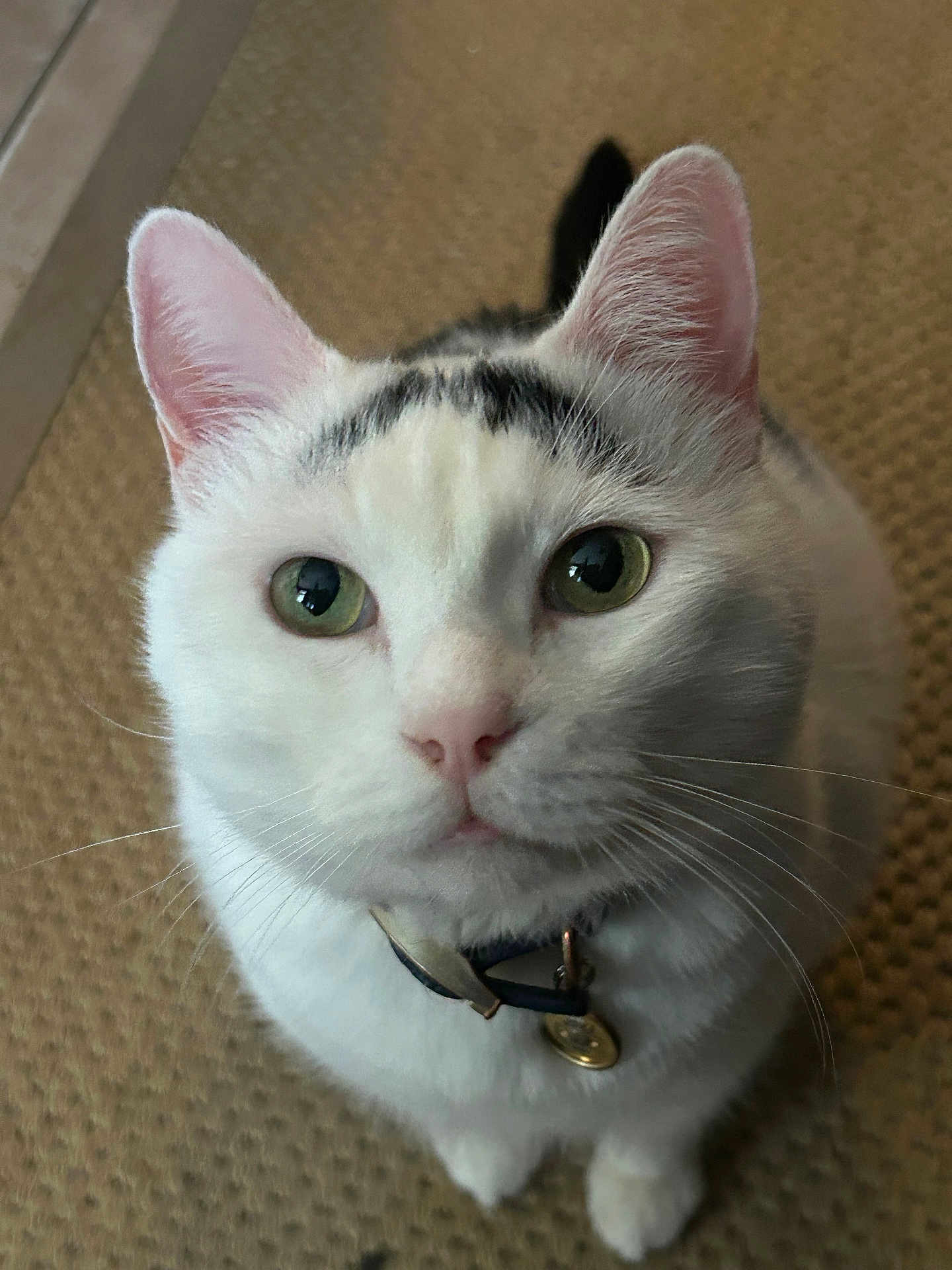 Cornelius