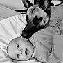 baby, dog, german_shepherd, bed, black_and_white, pet, infant, sleeping, lying_down, close_up, companion, animal, child, cute, peaceful, snuggling, portrait, indoor, friendship, tender