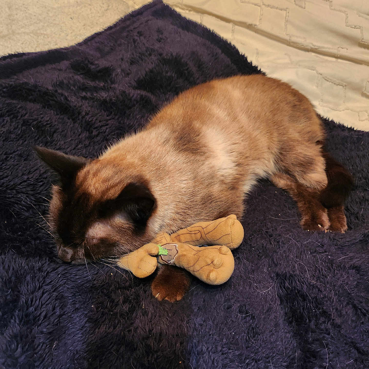 Simba Naya