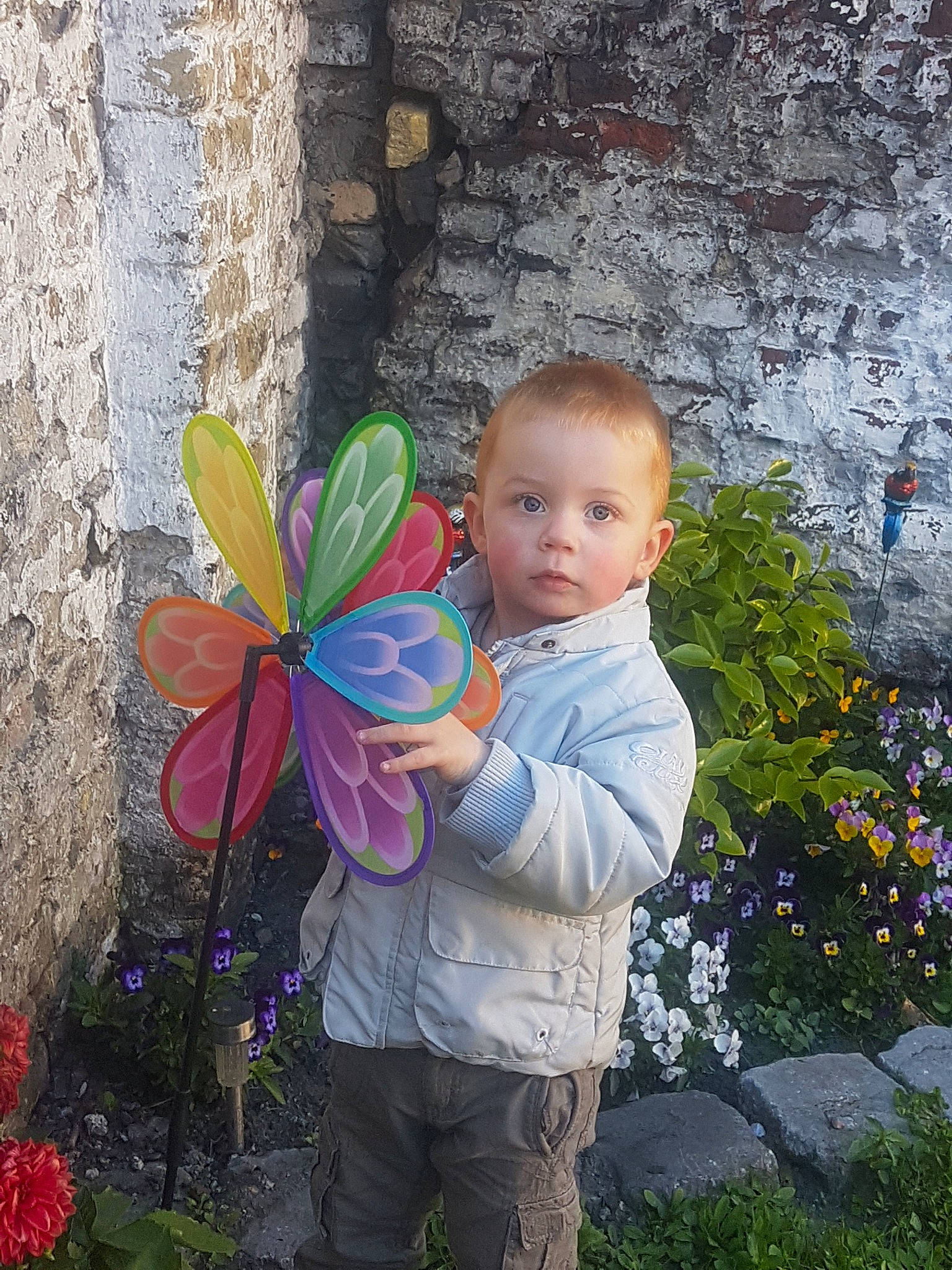 James participe au concours pour gagner de l'argent avec cette photo : adaptation, auto_part, automotive_wheel_system, botany, child, fawn, flower, leaf, person, plant, spring, toddler, tree, wheel, wildflower