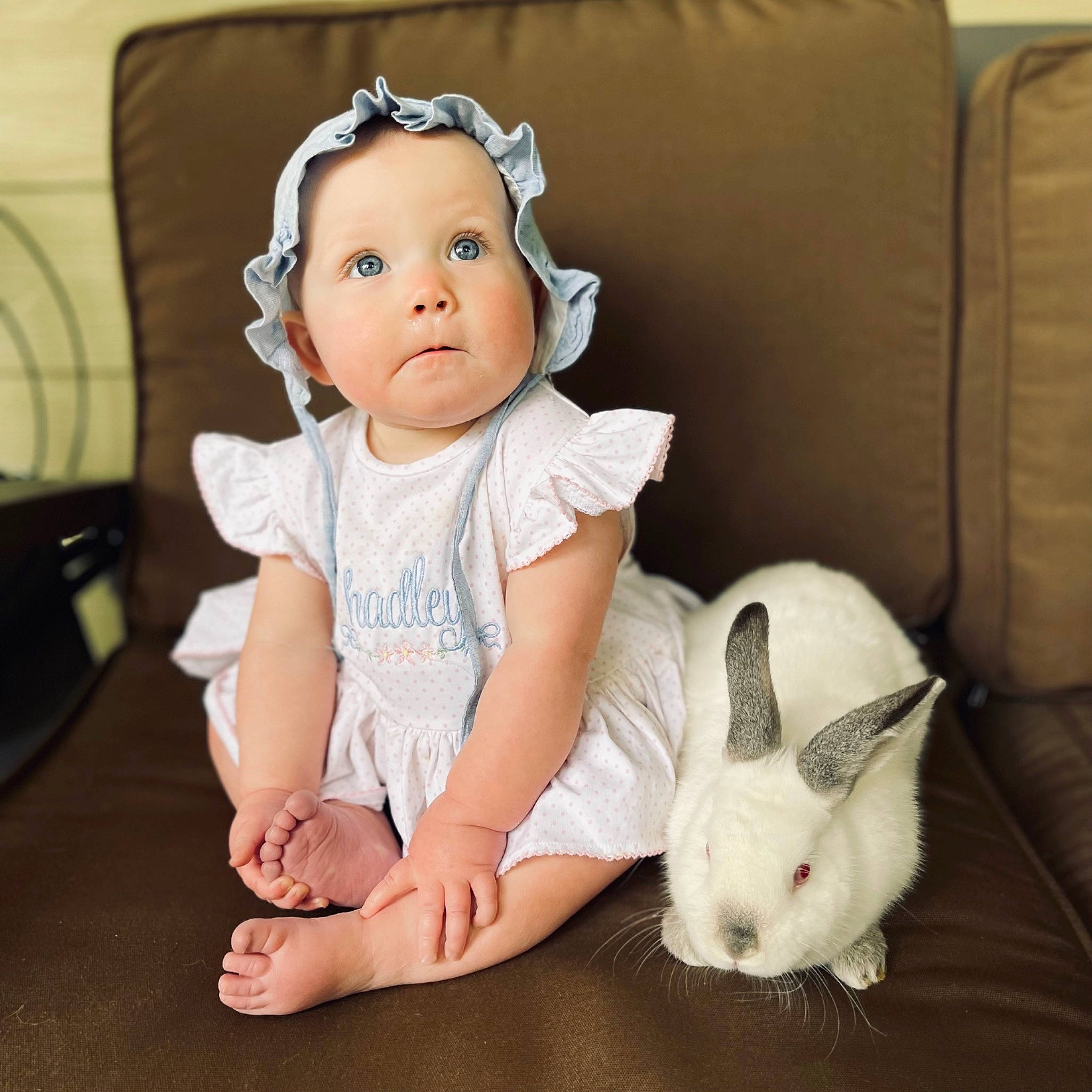 Hadley joined the competition — help win amazing prizes! baby, baby_toddler_clothing, comfort, couch, dress, ear, eye, foot, happy, head, headwear, iris, mammal, musical_instrument, neck, person, rabbit, skin, sleeve, surprise
