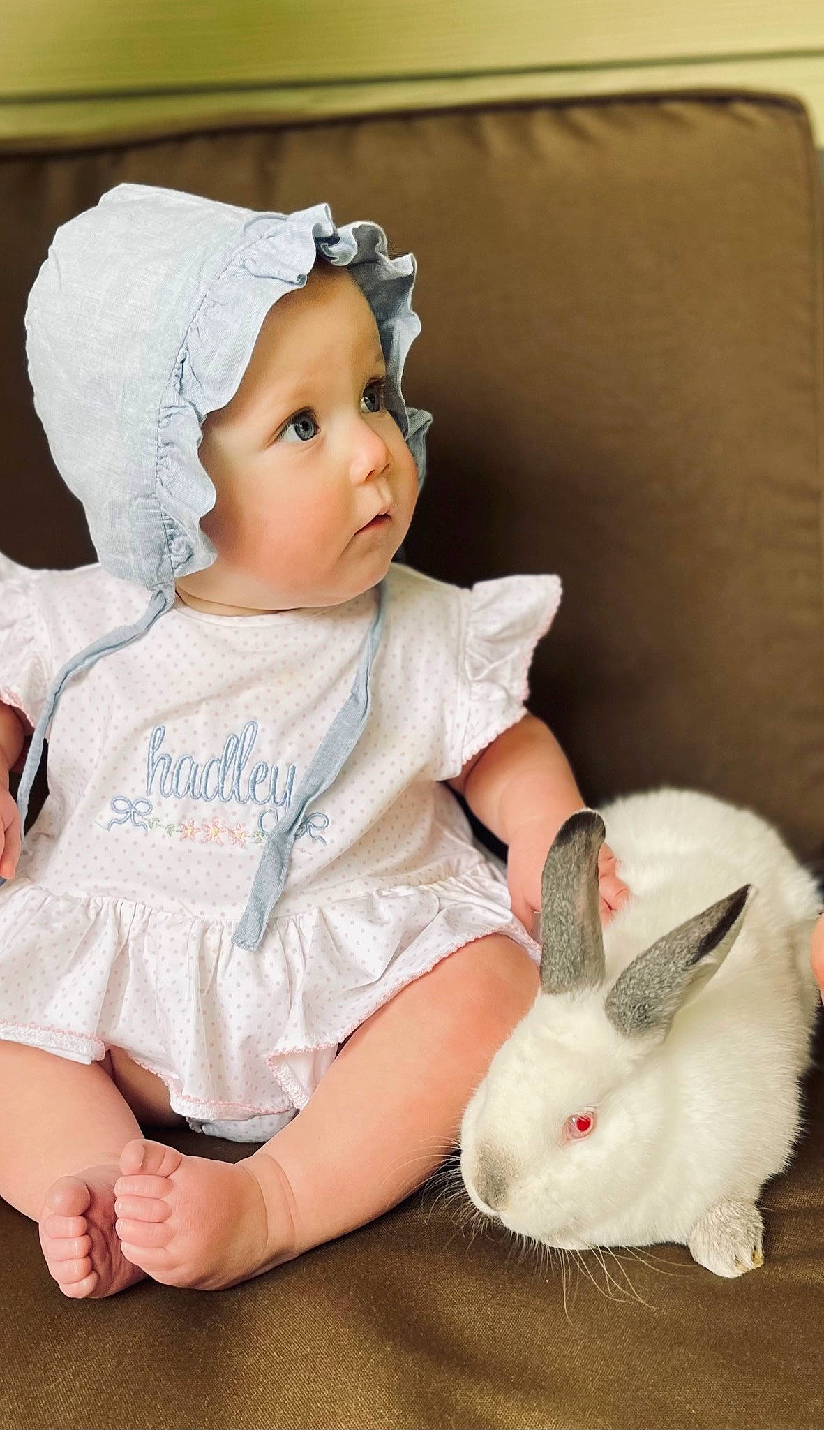 Hadley is registered to the contest to win money with this photo: baby, baby_toddler_clothing, beauty, cap, child, comfort, eye, happy, hare, headwear, organ, person, photograph, pink, rabbit, rabbits_and_hares, skin, sleeve, textile, toddler