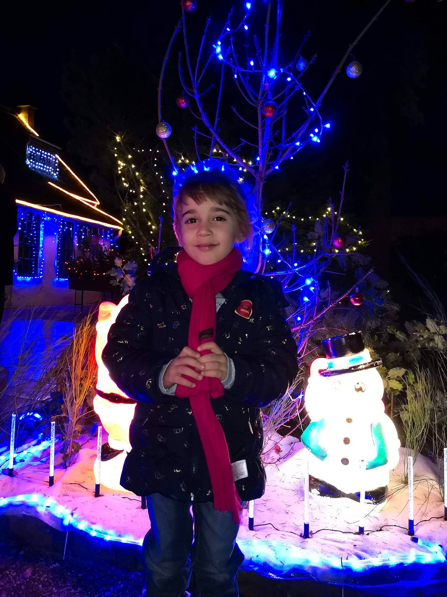 Rose a rejoint le concours — aidez-le/la à gagner de superbes lots ! blue, christmas_decoration, christmas_ornament, christmas_tree, clothing, electric_blue, electricity, entertainment, event, fun, happy, hat, holiday, human_body, joy, light, lighting, ornament, person, purple