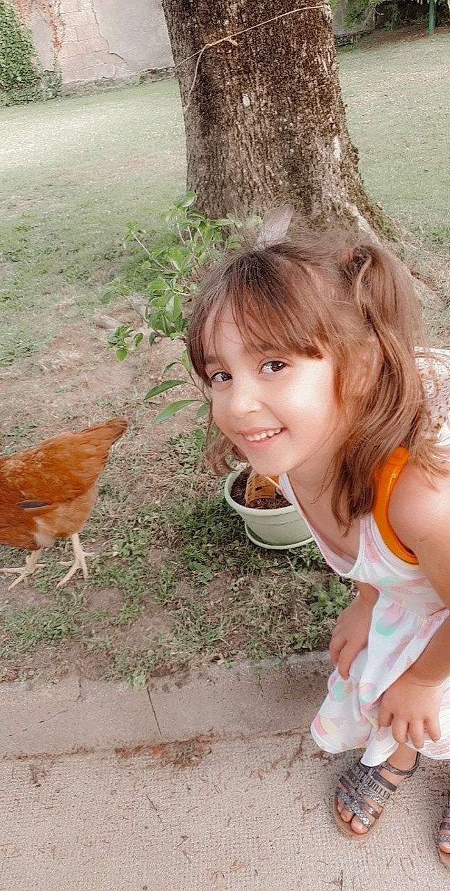 Rose participe au concours pour gagner de l'argent avec cette photo : beak, bird, blond, botany, chicken, fawn, galliformes, grass, grass_family, happy, joy, leaf, long_hair, nature, people_in_nature, person, phasianidae, poultry, smile, sunlight