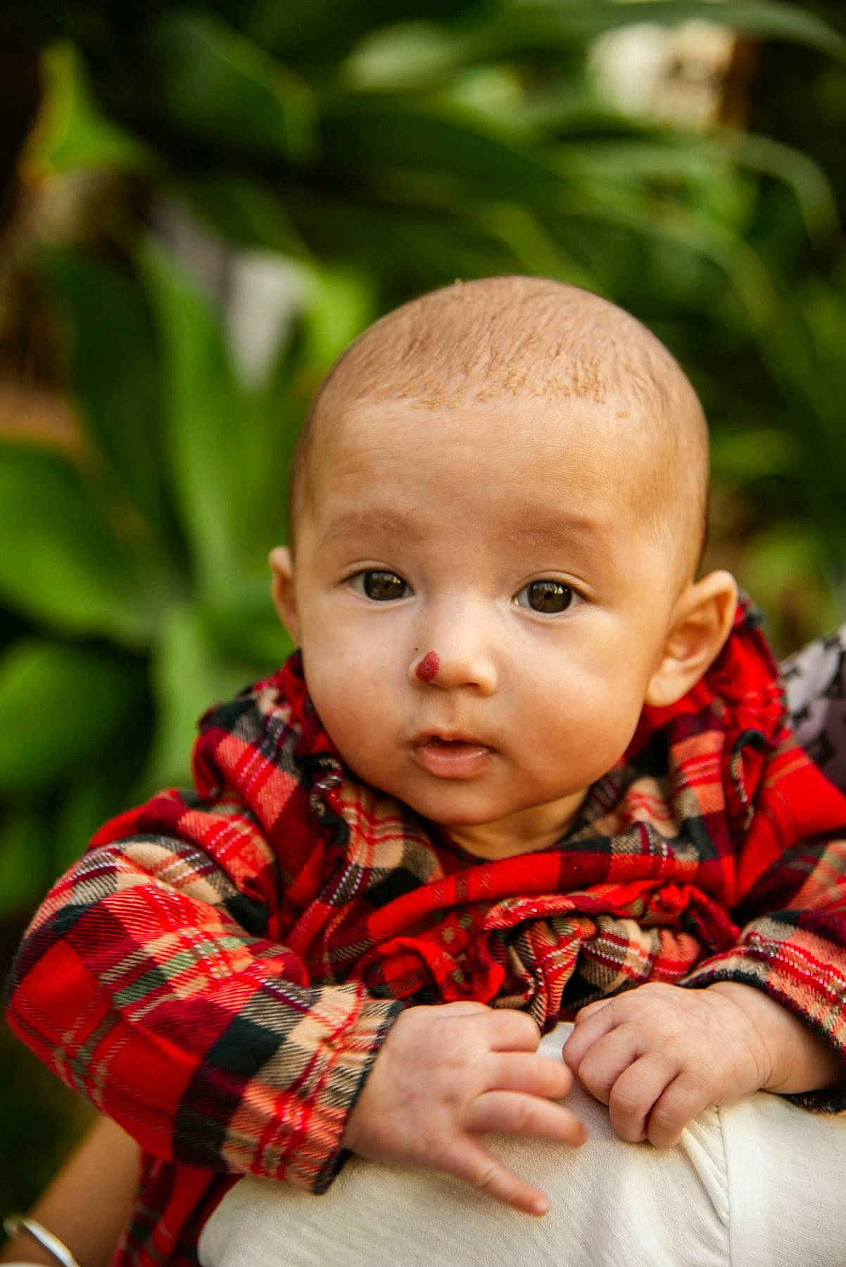 Araya is registered to the contest to win money with this photo: baby, baby_toddler_clothing, cheek, collar, facial_expression, flash_photography, grass, happy, iris, lip, nose, pattern, person, plaid, plant, skin, sleeve, tartan, toddler, tree