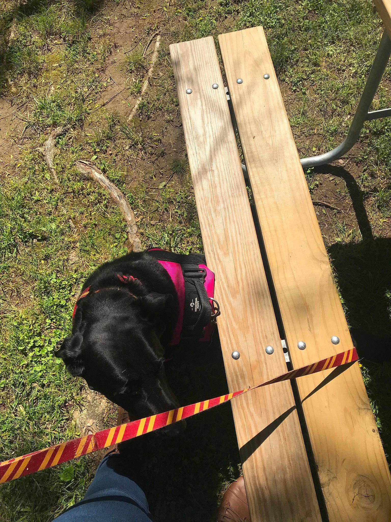 Shadow is registered to the contest to win money with this photo: sporting_group, wood