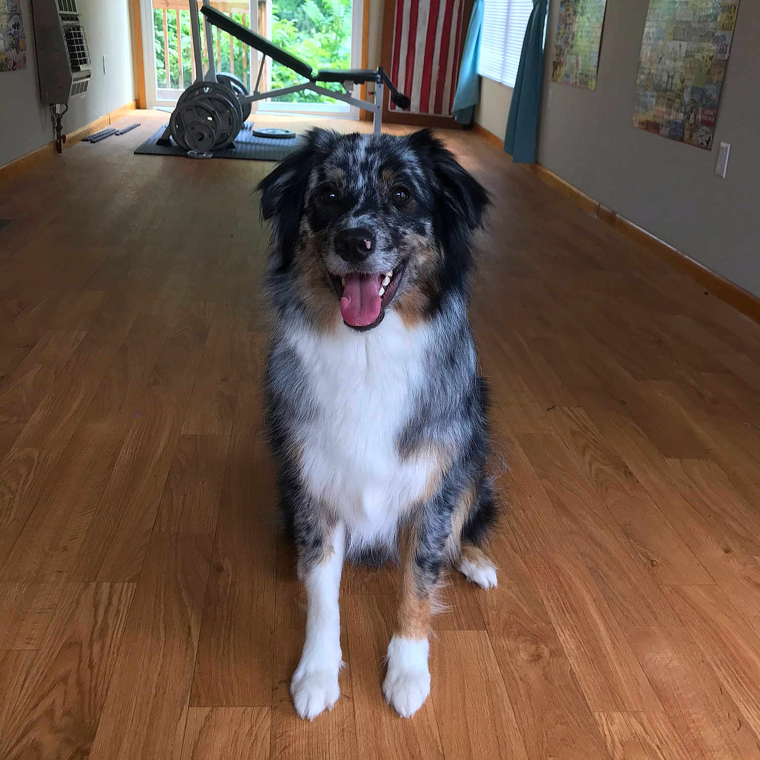 Astro