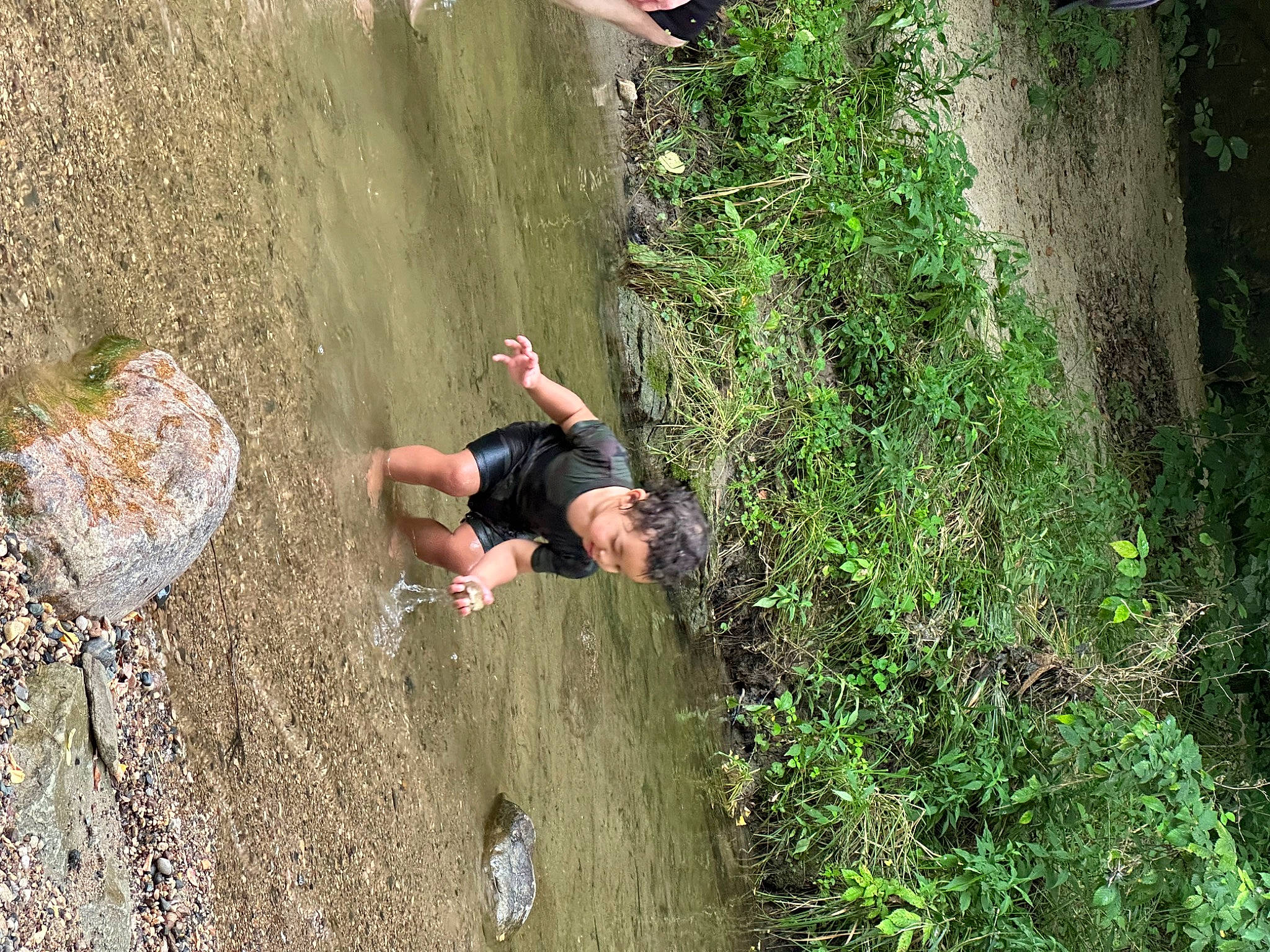 Aiden is registered to the contest to win money with this photo: adventure, bedrock, formation, fun, grass, jungle, landscape, leisure, outcrop, outdoor_recreation, people_in_nature, person, plant, recreation, rock, rope, soil, sport_climbing, tree, trunk