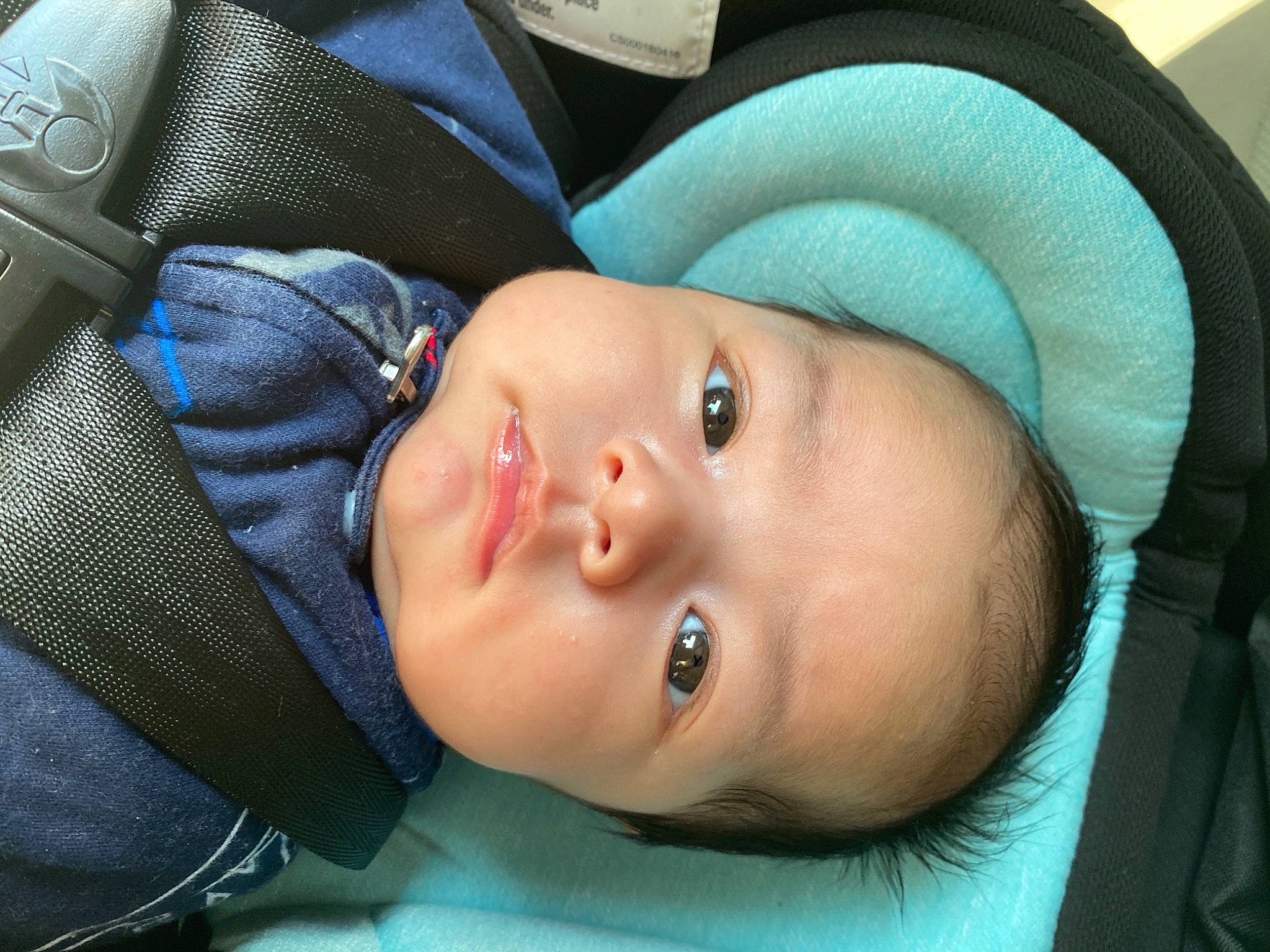 Jose Adriel is registered to the contest to win money with this photo: baby, cheek, child, chin, ear, eye, eyebrow, face, forehead, head, headgear, lip, mouth, nose, person, skin, smile, toddler