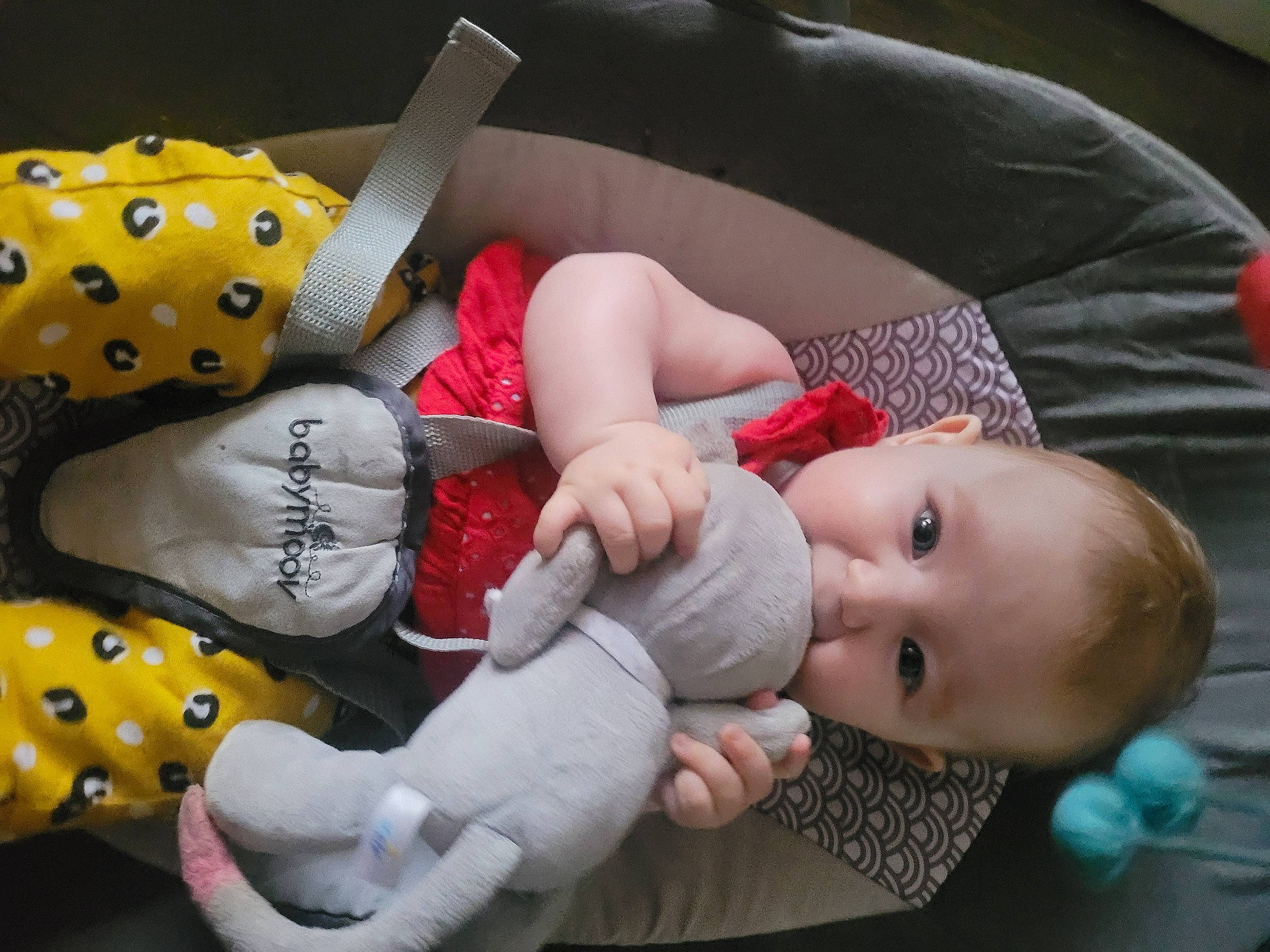 Lindsey participe au concours pour gagner de l'argent avec cette photo : arm, baby, baby_products, baby_sleeping, baby_toddler_clothing, baby_toys, carmine, cheek, child, comfort, finger, head, headgear, mouth, person, product, room, stuffed_toy, textile, toddler