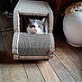 Iron participe au concours pour gagner de l'argent avec cette photo : cat, cardboard, scratching_post, indoor, wooden_floor, furniture, pottery, pet, animal, cozy, fluffy, box, car_shape, relaxed, home, domestic, cute, eyes, whiskers, floor