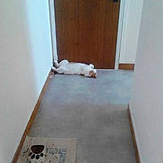 Chip a rejoint le concours — aidez-le/la à gagner de superbes lots !