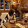 Nala participe au concours pour gagner de l'argent avec cette photo : dog, spaniel, pet, indoors, cabin, rustic, fireplace, snow, window, wooden_interior, dining_table, raclette, cheese, potatoes, wine, cozy, warm_lighting, food, sitting, portrait