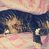 Diiamond participe au concours pour gagner de l'argent avec cette photo :
