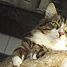 Diiamond participe au concours pour gagner de l'argent avec cette photo :