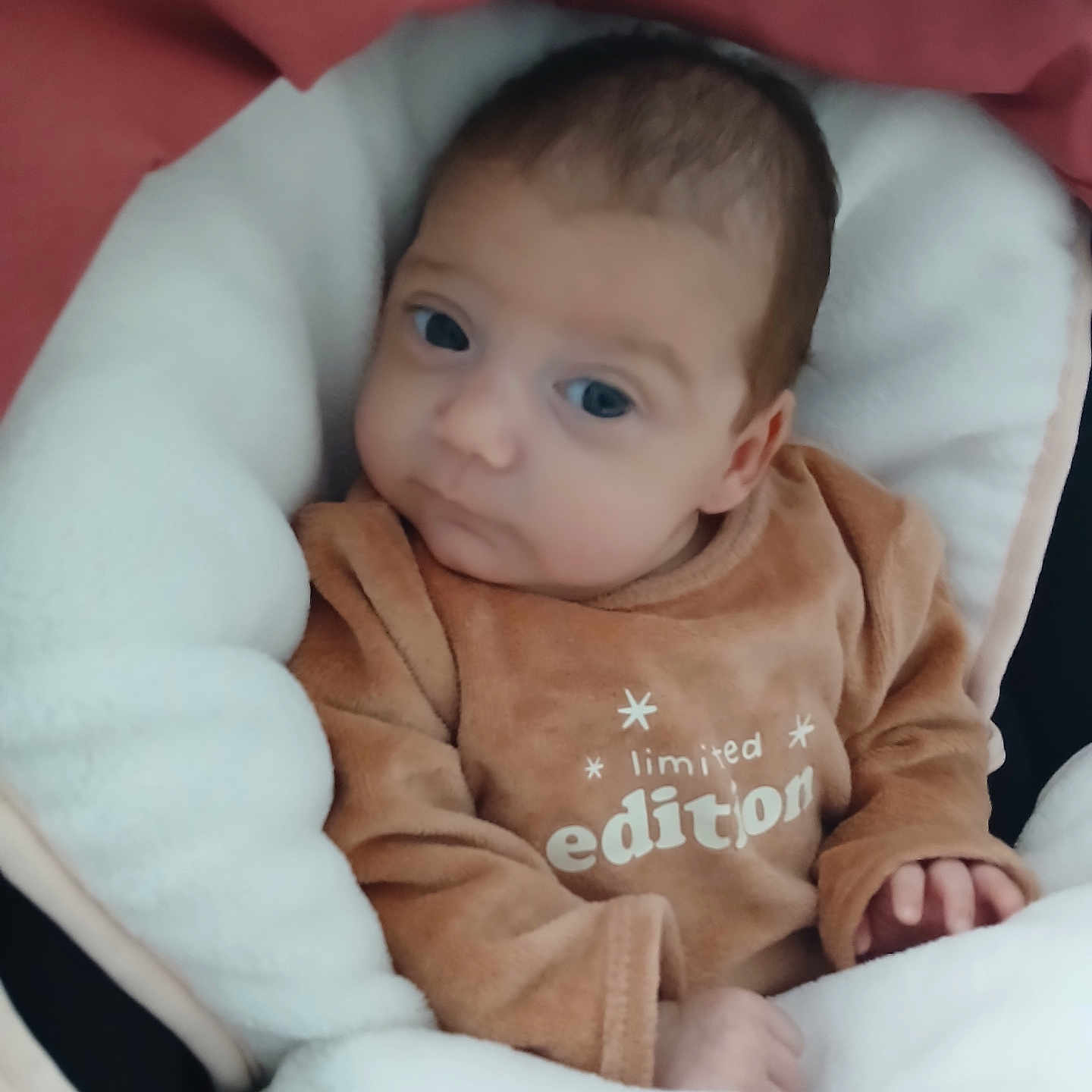 Melyssandre a rejoint le concours — aidez-le/la à gagner de superbes lots ! baby, blanket, brown_outfit, child, clothing, cozy, cute, expression, face, indoor, infant, limited_edition, newborn, person, portrait, sleeping_bag, small_hands, soft, warm, young