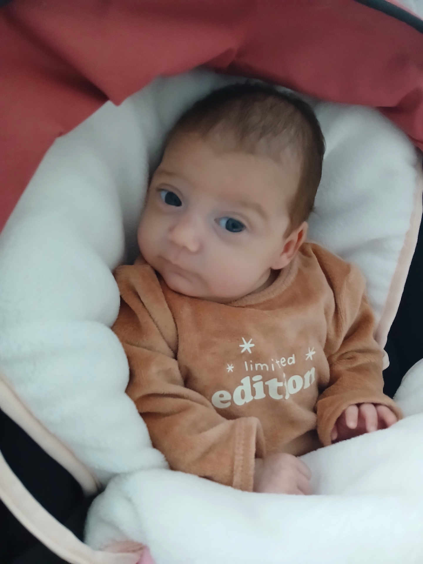 Melyssandre a rejoint le concours — aidez-le/la à gagner de superbes lots ! baby, infant, blanket, clothing, brown_outfit, face, person, newborn, cute, soft, warm, indoor, portrait, child, small_hands, sleeping_bag, cozy, limited_edition, expression, young