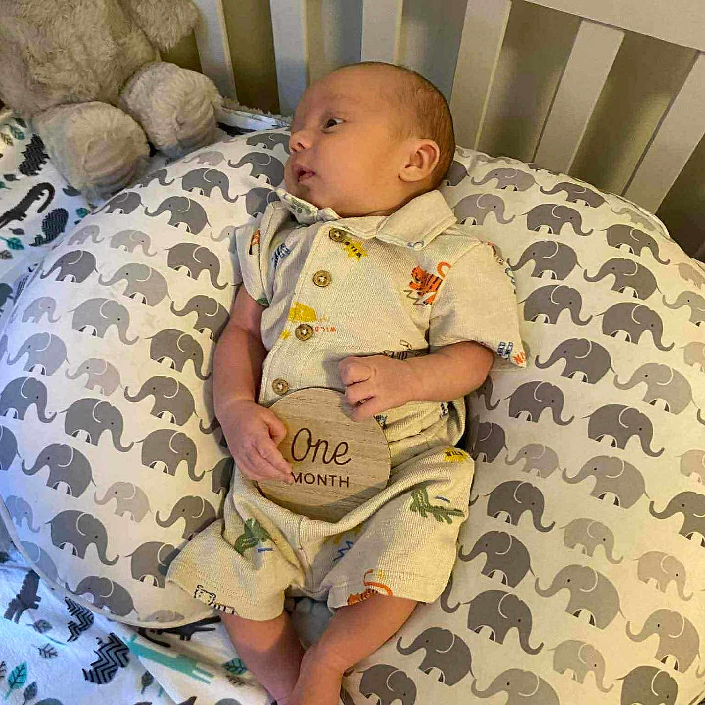 Charles joined the competition — help win amazing prizes! animal_print, baby, blanket, child, clothing, comfort, crib, cute, elephant_pattern, infant, lying_down, milestone, newborn, nursery, one_month, pillow, portrait, soft_toy, teddy_bear, wooden_sign