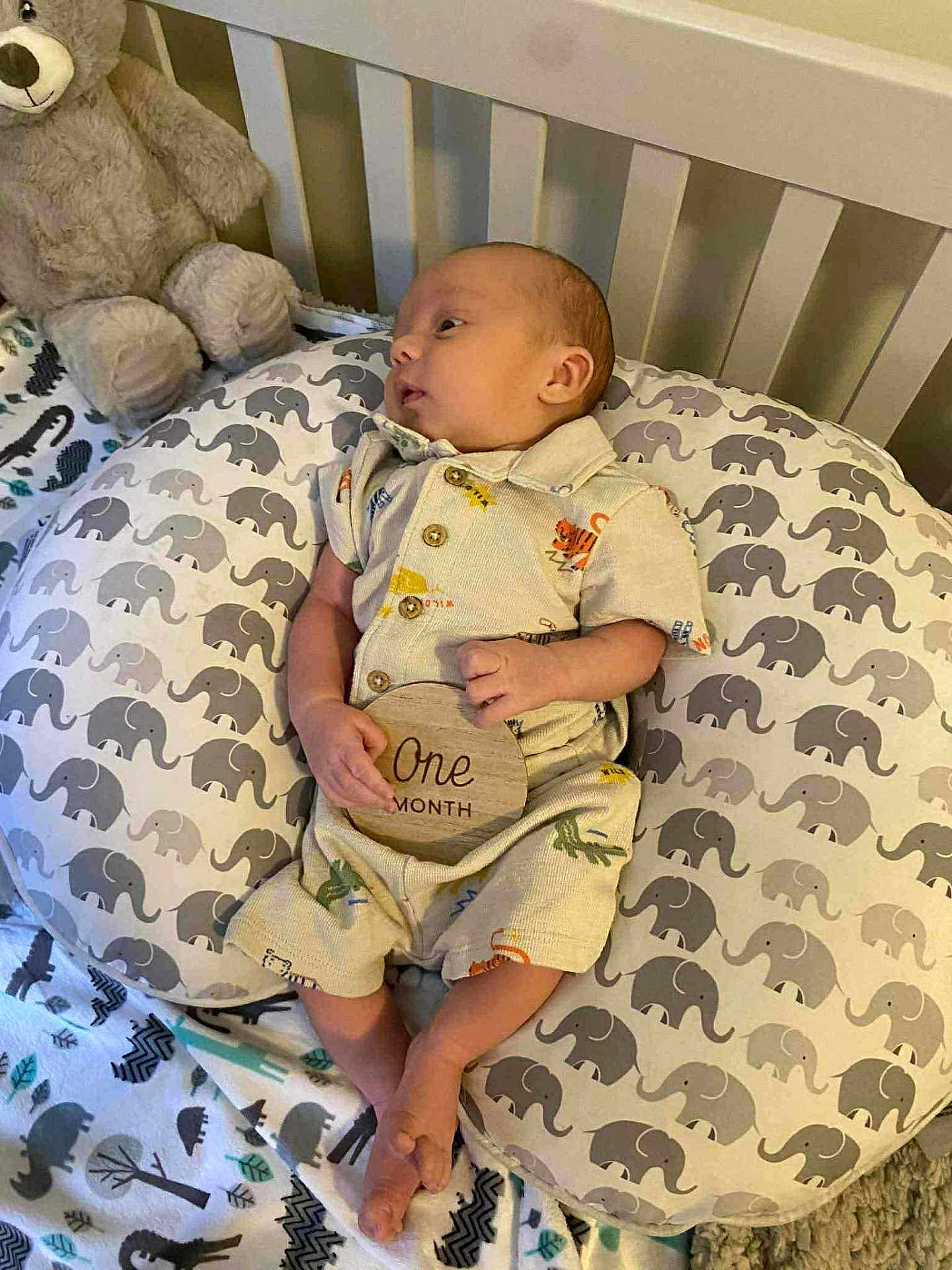 Charles joined the competition — help win amazing prizes! baby, infant, one_month, pillow, elephant_pattern, teddy_bear, crib, cute, clothing, wooden_sign, milestone, lying_down, soft_toy, nursery, child, newborn, blanket, animal_print, comfort, portrait