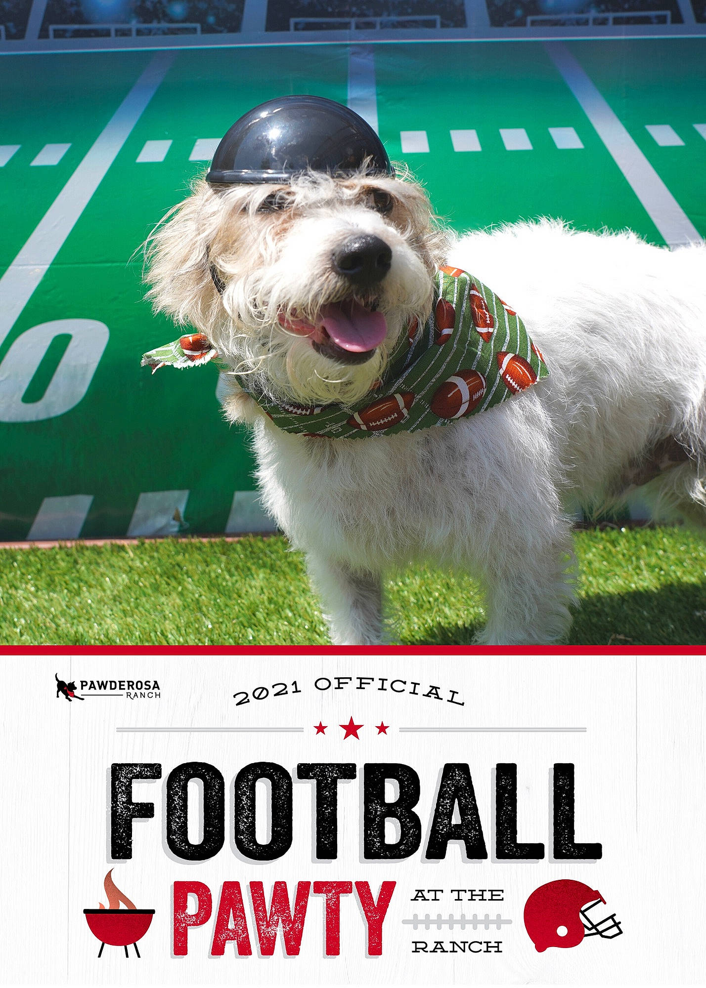 Winston joined the competition — help win amazing prizes! advertising, ancient_dog_breeds, canidae, carnivore, companion_dog, dog, dog_breed, dog_sports, dog_supply, giant_dog_breed, grass, non_sporting_group, pet_supply, photo_caption, poster, sporting_group, terrier, working_dog