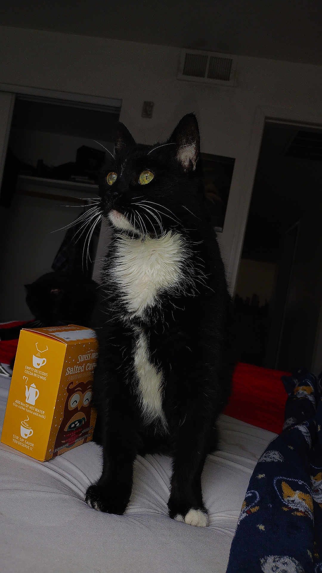 Luna joined the competition — help win amazing prizes! cat, tuxedo_cat, black_and_white, bed, blanket, yellow_eyes, indoor, feline, pet, whiskers, fur, box, illustration, wall, closet, doorway, home, cozy, animal, looking_away